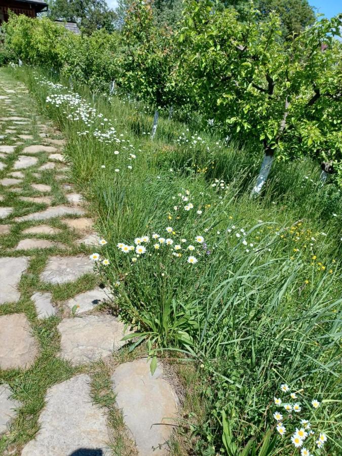Pensiunea Agroturistica Casa Jucan Poieni Luaran gambar